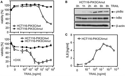 TRAF2 Controls Death Receptor-Induced Caspase-8 Processing and Facilitates Proinflammatory Signaling